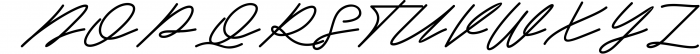 Signature & Brush Font Bundle - Best Seller Font Collection 7 Font UPPERCASE