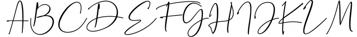 Signature Collection Font Bundle 3 Font UPPERCASE