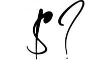 Signature Collection Font Bundle 4 Font OTHER CHARS