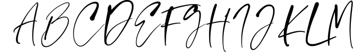 Signature Collection Font Bundle 4 Font UPPERCASE