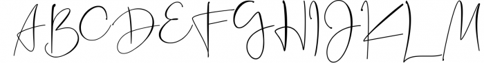 Signature Collection Font Bundle Font UPPERCASE