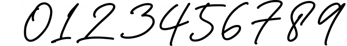 Signature Font Mini Bundle 13 Font OTHER CHARS