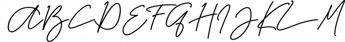 Signature Font Mini Bundle 13 Font UPPERCASE