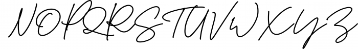 Signature Font Mini Bundle 13 Font UPPERCASE