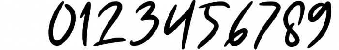 Signature Font Mini Bundle 14 Font OTHER CHARS