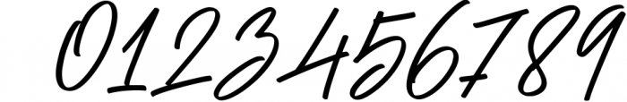 Signature Font Mini Bundle 15 Font OTHER CHARS