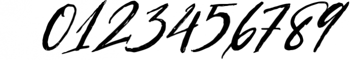 Signature Font Mini Bundle 2 Font OTHER CHARS