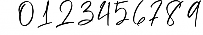 Signature Font Mini Bundle 6 Font OTHER CHARS