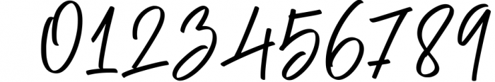 Signature Font Mini Bundle 9 Font OTHER CHARS