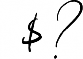 Signature Font Mini Bundle Font OTHER CHARS