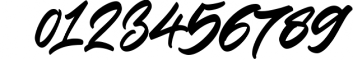 Significent Wild Brush 1 Font OTHER CHARS
