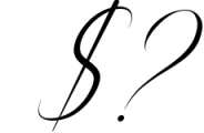 Silenter // Modern Calligraphy Font Font OTHER CHARS