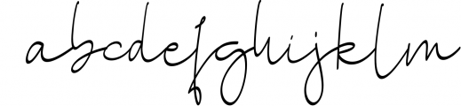 Siontins // elegant signature font Font LOWERCASE