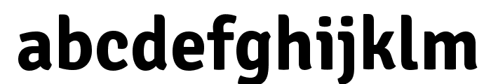 SignikaNegative-Bold Font LOWERCASE