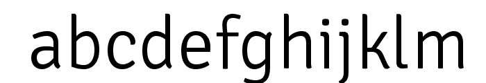 SignikaNegative-Light Font LOWERCASE