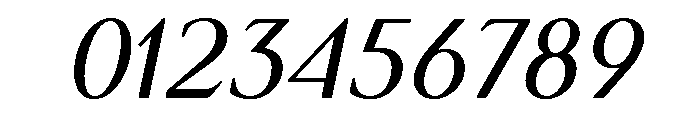 Simply Serif Book Italic Font OTHER CHARS