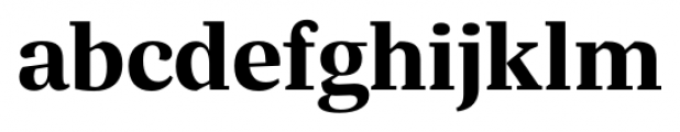 Silva Text Bold Font LOWERCASE