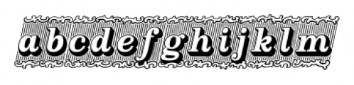 Silverland  Italic Font LOWERCASE