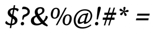 Sina Medium Italic Font OTHER CHARS