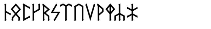 SigRuna Elder Futhark Font LOWERCASE