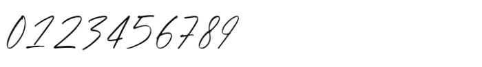 Signature Present Font OTHER CHARS