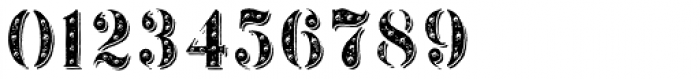 Signyard Symbols Font OTHER CHARS