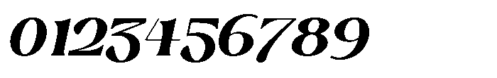 Silent Elegance Italic Font OTHER CHARS