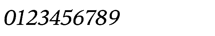 Silesianum Regular Italic Font OTHER CHARS