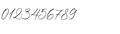 Silhouette Signature Regular Font OTHER CHARS