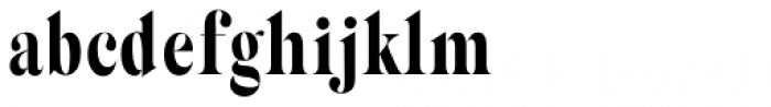 Silk Serif Condensed Bold Font LOWERCASE