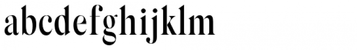 Silk Serif Condensed Medium Font LOWERCASE