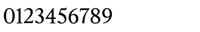 Silvana Text Variable Font OTHER CHARS