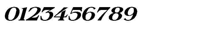 Silvera Text Black Expanded Italic Font OTHER CHARS