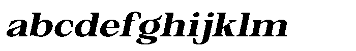 Silvera Text Black Expanded Slanted FONT