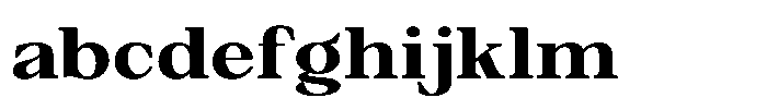 Silvera Text Black Expanded FONT