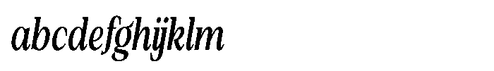 Silvera Text Bold Condensed Italic FONT
