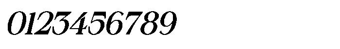 Silvera Text Bold Italic Font OTHER CHARS