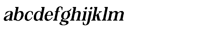 Silvera Text Bold Slanted FONT
