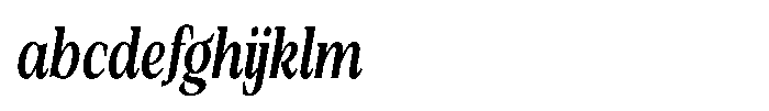 Silvera Text Extra Bold Condensed Italic FONT