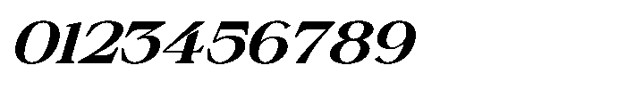 Silvera Text Extra Bold Expanded Italic Font OTHER CHARS