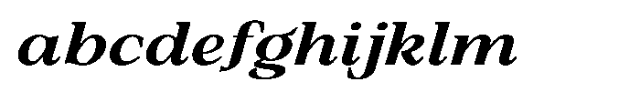 Silvera Text Extra Bold Expanded Italic FONT