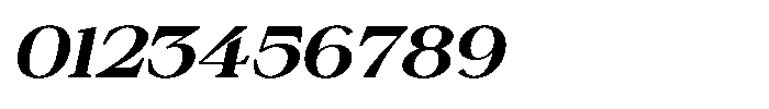Silvera Text Extra Bold Expanded Slanted Font OTHER CHARS