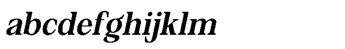 Silvera Text Extra Bold Slanted FONT