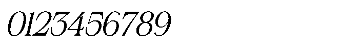 Silvera Text Italic Font OTHER CHARS