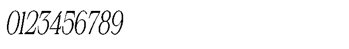 Silvera Text Light Condensed Italic Font OTHER CHARS