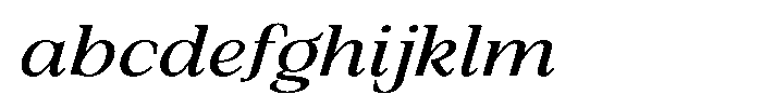 Silvera Text Medium Expanded Italic FONT