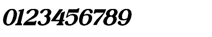 Sinkled Italic Font OTHER CHARS