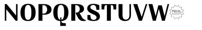 Sintesi Serif TRIAL Sintesi Bold Font UPPERCASE