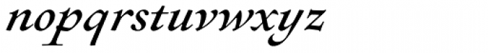Sirenne Eighteen MVB Swash Italic Font LOWERCASE