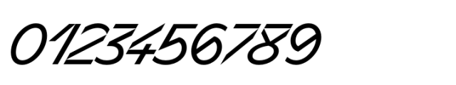 Sizek Regular Super Italic Font OTHER CHARS